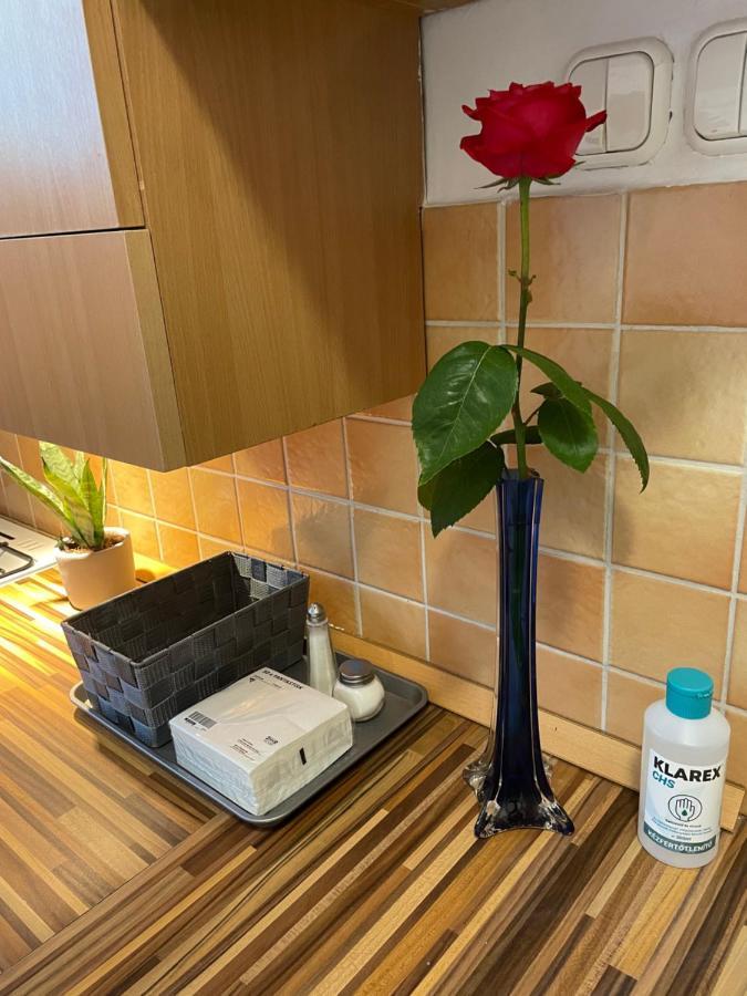 Magnolia Apartman Γκιόρ Εξωτερικό φωτογραφία